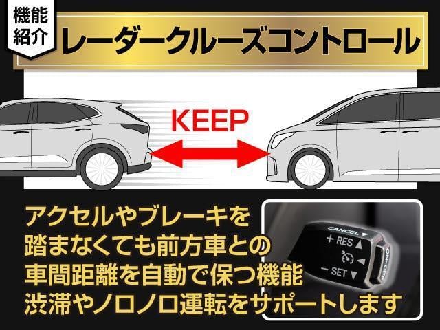 アルファード 2.5S Cパッケージ (禁煙車)(純正10型ナビ)(後席モニター)(エグゼクティブシート)前車追従レーダークルーズ/衝突被害軽減ブレーキ/踏み間違い防止装置/両側自動ドア/パワーバックドア/AC100V電源/コンビハンドル(30枚目)