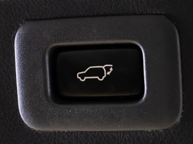 アルファード ２４０Ｓ　タイプゴールド　（アルパインＢＩＧ－Ｘ９型ナビ）（後席モニター）（専用黒ハーフレザーシート）（両側自動ドア）パワーバックドア／クルーズコントロール／クリアランスソナー／バックカメラ／コンビハンドル／特別仕様車／（31枚目）