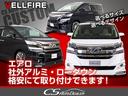 ＺＲ　（禁煙・ワンオーナー車）（整備記録簿１０枚）（モデリスタフルエアロ＆マフラー）（４ＷＤ）後席モニター／黒ハーフレザーシート／純正９型ＳＤナビ／両側自動ドア／パワーバックドア／クルーズコントロール／(53枚目)