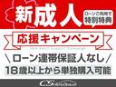２４０Ｓ　タイプゴールド　（３０系後期ルック）（禁煙＆ワンオーナー車）（点検記録簿１４枚）（後席モニター）両側電動スライドドア／パワーバックドア／クリアランスソナー／クルーズコントロール／コンビハンドル／ＡＬＰＩＮＥ製ＳＤナビ（54枚目）
