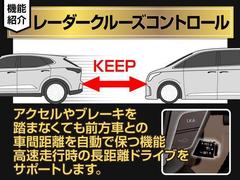 １８スピーカーにて大迫力の音響効果にて音楽、ＤＶＤ鑑賞をお楽しみ頂けます！リアモニターワイド画面のフリップダウンモニター搭載！！後席にお乗りになる方やお子様も快適にお過ごし頂けます！！ 5