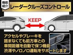 エグゼクティブシートパッケージではセカンドシートは個別シートになっています。左右に肘置きがあり、フィット感がとてもあり、車が左右に曲がるときでも身体が揺られることが少ないです。 5
