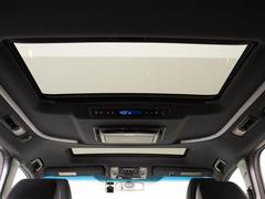 롼ܡŪˤʤι⤤ΰĤǤե륪ץȥåפǽɥ饤֤򤵤˲ŬˤƤΰĤǤ 6