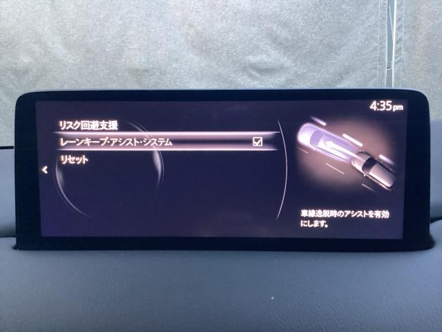 CX-8 2.5 25S ブラックトーン エディション 7人乗り サンルーフ BOSEサウンド 360°ビューモニター 2カメドラレコ ETC付き パノラマカメラ アダプティブクルーズ フルセグテレビ 盗難防止装置 Aライト BTオーディオ 記録簿 ABS(17枚目)