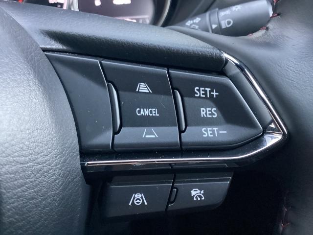 CX-8 2.5 25S ブラックトーン エディション 7人乗り サンルーフ BOSEサウンド 360°ビューモニター 2カメドラレコ ETC付き パノラマカメラ アダプティブクルーズ フルセグテレビ 盗難防止装置 Aライト BTオーディオ 記録簿 ABS(23枚目)