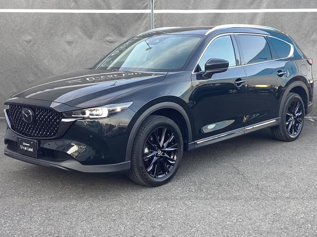 CX-8 2.5 25S ブラックトーン エディション 7人乗り サンルーフ BOSEサウンド 360°ビューモニター 2カメドラレコ ETC付き パノラマカメラ アダプティブクルーズ フルセグテレビ 盗難防止装置 Aライト BTオーディオ 記録簿 ABS(35枚目)