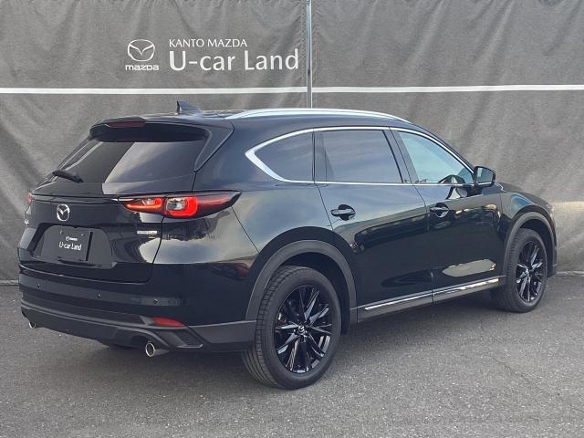 CX-8 2.5 25S ブラックトーン エディション 7人乗り サンルーフ BOSEサウンド 360°ビューモニター 2カメドラレコ ETC付き パノラマカメラ アダプティブクルーズ フルセグテレビ 盗難防止装置 Aライト BTオーディオ 記録簿 ABS(37枚目)