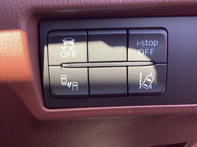 ＴＣＳ（トラクションコントロールシステム）＆ＤＳＣ（横滑り防止機構）やＢＳＭ（隣車線上の側・後方からの車両接近を通知）、ＬＤＷＳ（車線逸脱警報システム）で安全運転をサポート！