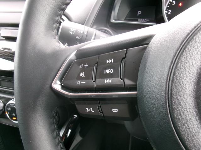 ＭＡＺＤＡ２ １．５　１５ＢＤ　インパネグロスブラック　３６０°セーフティパッケージ　ウォームコンフォートパッケージ　セーフティクルーズパッケージ　パノラマモニタ　ブルートゥース　デモアップ　スマートシティブレーキサポート　ＥＴＣ（35枚目）