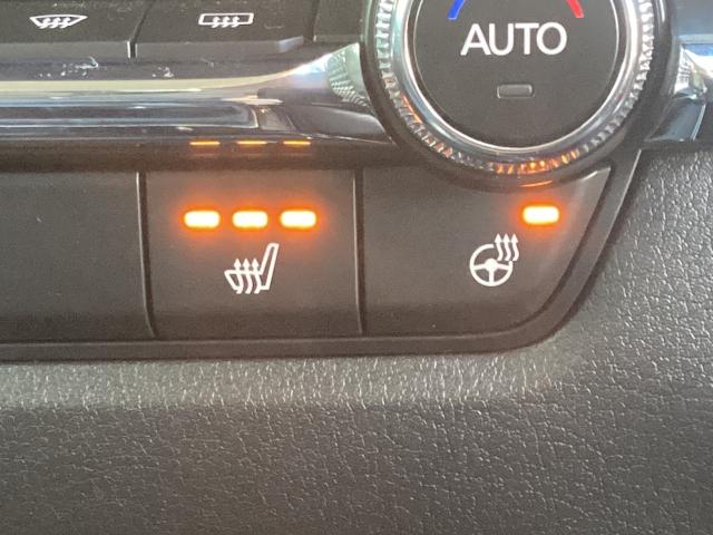 CX-30 2.0 20S ブラックトーンエディション ドライビングポジションサポートパッケージ スマートキー 電動リアゲート ドライブレコーダー クリアランスソナー アイドリングストップ アラウンドビューモニター ワンオーナー オートライト ETC(20枚目)