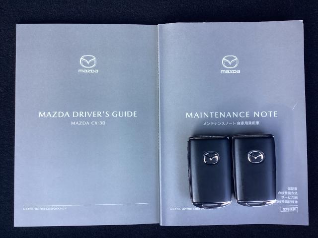 CX-30 2.0 20S ブラックトーンエディション ドライビングポジションサポートパッケージ スマートキー 電動リアゲート ドライブレコーダー クリアランスソナー アイドリングストップ アラウンドビューモニター ワンオーナー オートライト ETC(29枚目)