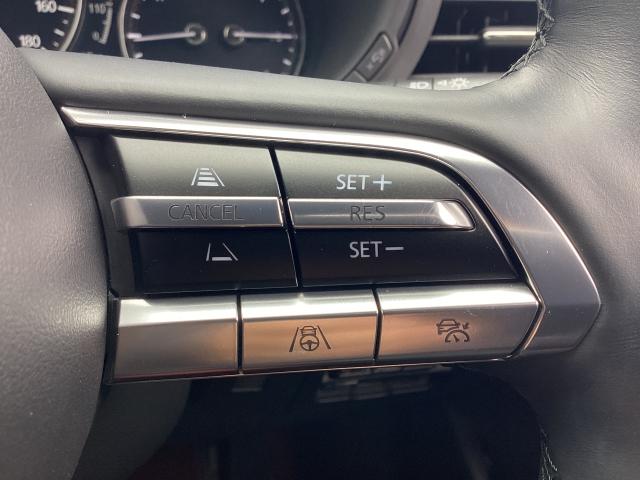 MAZDA3ファストバック 2.0 20S 100周年 特別記念車 赤革 ナビ ETC2.0 ドラレコ 360度ビューモニター スマートブレーキサポート フルセグ 車線逸脱警報 パーキングセンサー ワンオーナー シートヒーター DVD ドラレコ オートライト ETC(23枚目)