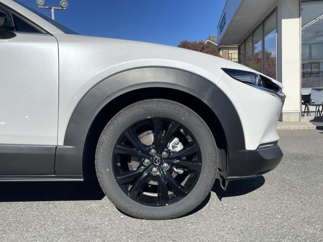 CX-30 2.0 20S ブラック セレクション 360°セーフティパッケージ コンフォートパッケージ パワーシート ブルートゥース パワーリフトゲート フルセグTV シートヒーター(19枚目)