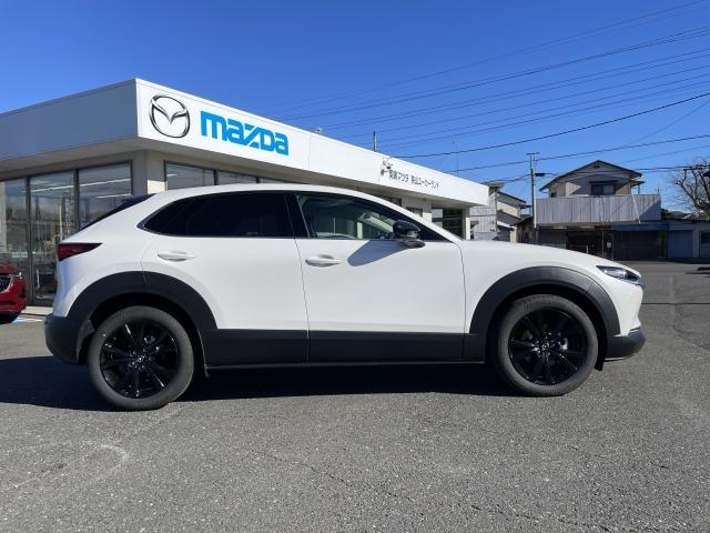 CX-30 2.0 20S ブラック セレクション 360°セーフティパッケージ コンフォートパッケージ パワーシート ブルートゥース パワーリフトゲート フルセグTV シートヒーター(22枚目)