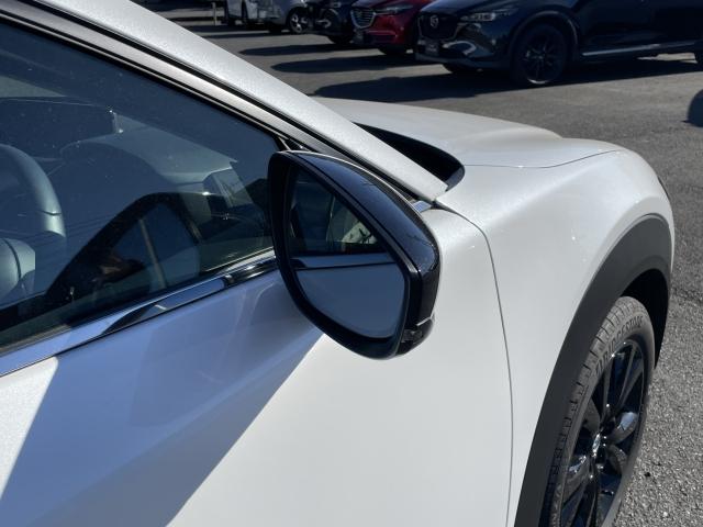 CX-30 2.0 20S ブラック セレクション 360°セーフティパッケージ コンフォートパッケージ パワーシート ブルートゥース パワーリフトゲート フルセグTV シートヒーター(23枚目)