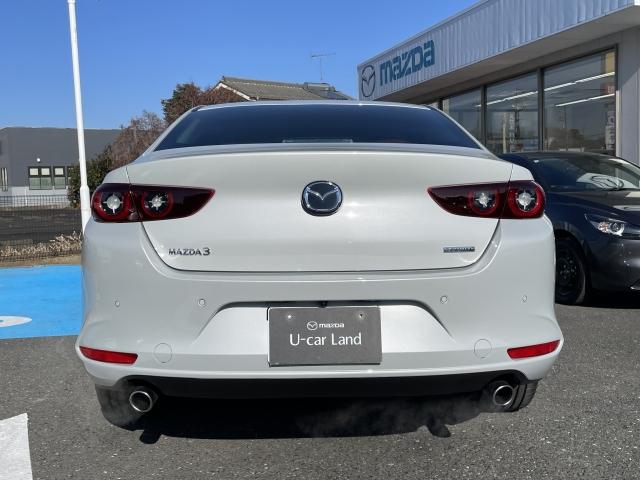 �X�^�C���b�V���ȃ{�f�B�[�́A�V���[�v�Ȉ�ۂ̃��A�r���[�ł�