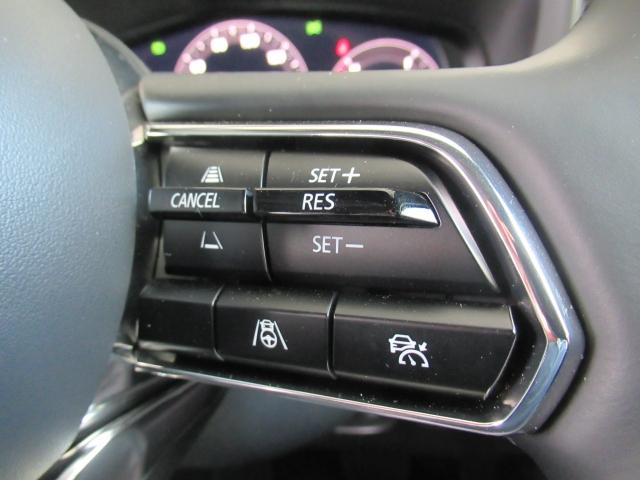 �l�q�b�b�i�}�c�_���[�_�[�N���[�Y�R���g���[���j�͐�s�ԂƂ̎ԊԂ��ێ����Ȃ���Ǐ]���s���s���A�������ł̃h���C�o�[���S���y�������Ă���܂��B