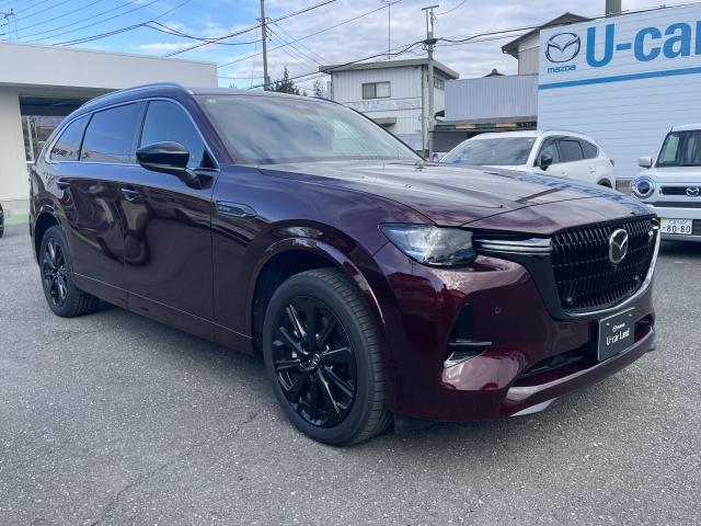 �����f�U�C���̂���Ȃ�[���Ɛi�����ЂƖڂŊ�������A�V�����X�^�C�����O�B