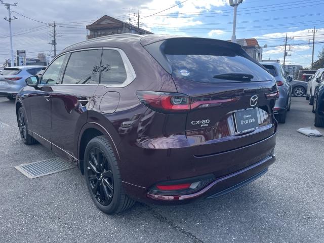 �n�C���x���Ȉ��S���\�Ɗ����\�A�S�V�鑖�s���\�����͂̃v���~�A���r�t�u