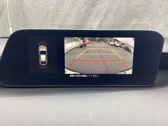 줷Хå˥ա԰´ˤ륹ȥ쥹鳫Ƥޤ 5