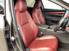 Ωδꡢȥ򤯤äʬǤݡι⤤ΥȤֿϰΡ״򶯤ФƤޤ 7