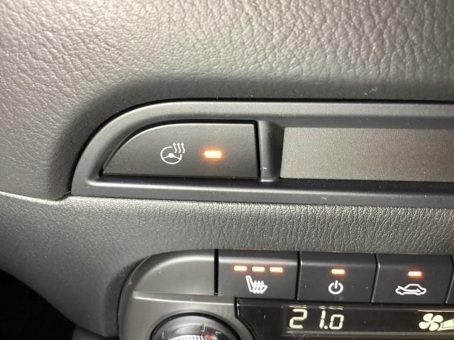 CX-5 2.5 25S スポーツ アピアランス 追従走行 DSC 地デジ 本革 LEDヘッドライト ETC車載器 Pシート BTオーディオ オートエアコン ドライブレコーダー メモリーナビ Pセンサー アドバンスドキー ナビTV オートライト(22枚目)