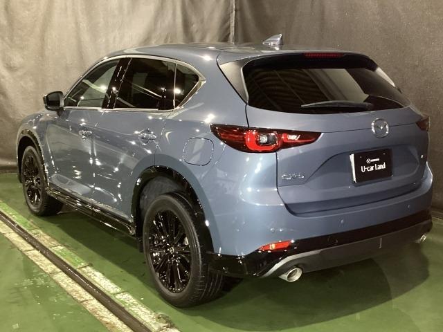 CX-5 2.5 25S スポーツ アピアランス 追従走行 DSC 地デジ 本革 LEDヘッドライト ETC車載器 Pシート BTオーディオ オートエアコン ドライブレコーダー メモリーナビ Pセンサー アドバンスドキー ナビTV オートライト(37枚目)