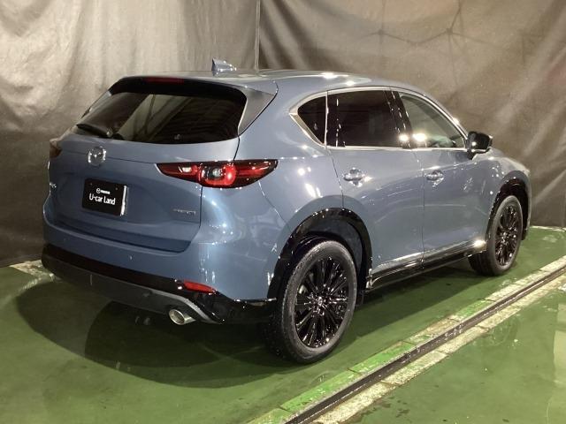 CX-5 2.5 25S スポーツ アピアランス 追従走行 DSC 地デジ 本革 LEDヘッドライト ETC車載器 Pシート BTオーディオ オートエアコン ドライブレコーダー メモリーナビ Pセンサー アドバンスドキー ナビTV オートライト(38枚目)