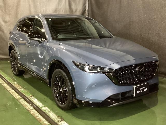 CX-5 2.5 25S スポーツ アピアランス 追従走行 DSC 地デジ 本革 LEDヘッドライト ETC車載器 Pシート BTオーディオ オートエアコン ドライブレコーダー メモリーナビ Pセンサー アドバンスドキー ナビTV オートライト(39枚目)