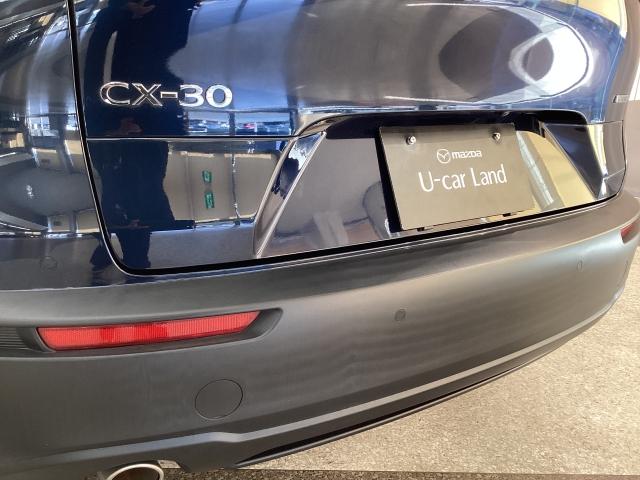 CX-30 2.0 20S マツコネナビ地デジ 360°カメラ LED ETC MRCC 純正16AW ワンオーナー ソナー フルセグテレビ ドラレコ アダプティブクルーズ LEDライト Bluetooth接続 バックカメラ(28枚目)