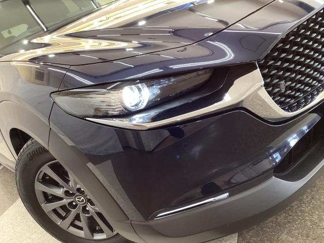 CX-30 2.0 20S マツコネナビ地デジ 360°カメラ LED ETC MRCC 純正16AW ワンオーナー ソナー フルセグテレビ ドラレコ アダプティブクルーズ LEDライト Bluetooth接続 バックカメラ(31枚目)