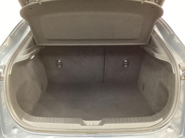 ＣＸ－３０ ２．０　２０Ｓ　プロアクティブ　ツーリングセレクション　４Ｗ　地デジ　ＢＯＳＥ　３６０°カメラ　ＬＥＤ　ＥＴＣ　オートライト　電動シート　ＭＲＣＣ　純正１８ＡＷ　ワンオーナー　テレビ　レーダークルーズＣ　車線逸脱防止　Ｆカメラ　ＤＶＤプレーヤー　４ＷＤ　Ｐシート（12枚目）