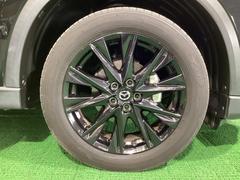 ߥۥ뤬ܥǥǥذΩޤ 7