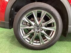 ��������ߥۥ����뤬�ܥǥ��ǥ����������ذ���Ω�����ޤ��� 5