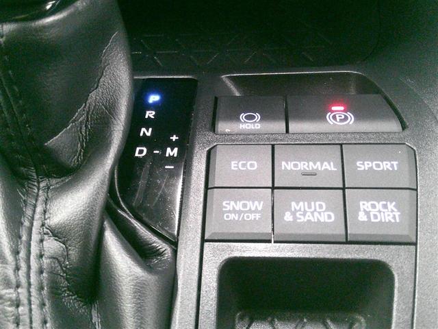 ＲＡＶ４ Ｘ　点検記録簿　ドライブレコーダー　クルコン　スマートキー　ＥＴＣ　４ＷＤ　メモリーナビ　盗難防止装置　カーテンエアバッグ　ＡＢＳ　キーフリ　エアバッグ　アルミホイール　横滑り防止装置　オートエアコン（16枚目）