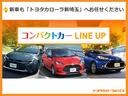 Ｚ　Ｐルーフ　４ＷＤ車　黒革シート　ＡＷ　メモリーナビ　Ｂカメラ　エアバッグ　ＴＶナビ　ＡＢＳ　プリクラッシュセーフティシステム　地デジフルセグ（67枚目）