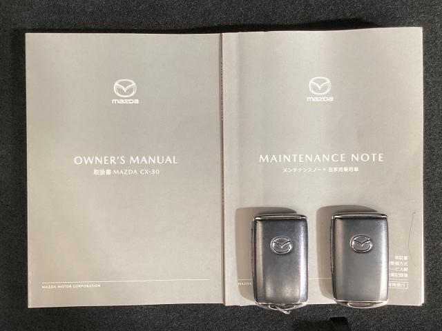 ＣＸ－３０ １．８　ＸＤ　プロアクティブ　マツダコネクトナビ　地デジ　３６０°ビューモニター　ＥＴＣ　ワンオーナー　キーフリ　衝突被害軽減　フルセグ　パワーバックドア　アイドリングストップ　レーダークルコン　ターボ　ＬＥＤライト　ＥＴＣ（29枚目）