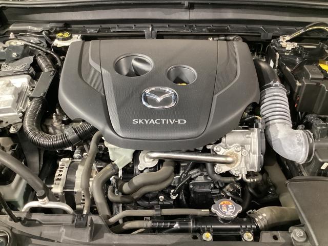 ＣＸ－３０ １．８　ＸＤ　プロアクティブ　マツダコネクトナビ　地デジ　３６０°ビューモニター　ＥＴＣ　ワンオーナー　キーフリ　衝突被害軽減　フルセグ　パワーバックドア　アイドリングストップ　レーダークルコン　ターボ　ＬＥＤライト　ＥＴＣ（30枚目）