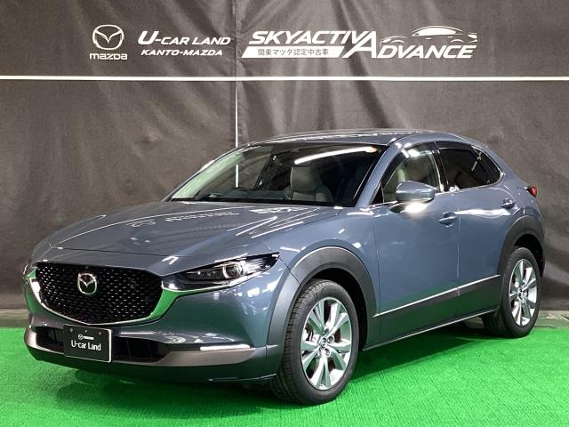 ＣＸ－３０ １．８　ＸＤ　プロアクティブ　マツダコネクトナビ　地デジ　３６０°ビューモニター　ＥＴＣ　ワンオーナー　キーフリ　衝突被害軽減　フルセグ　パワーバックドア　アイドリングストップ　レーダークルコン　ターボ　ＬＥＤライト　ＥＴＣ（35枚目）