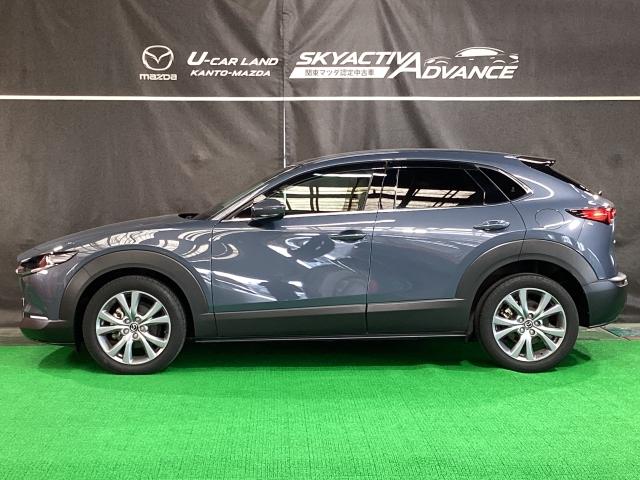 ＣＸ－３０ １．８　ＸＤ　プロアクティブ　マツダコネクトナビ　地デジ　３６０°ビューモニター　ＥＴＣ　ワンオーナー　キーフリ　衝突被害軽減　フルセグ　パワーバックドア　アイドリングストップ　レーダークルコン　ターボ　ＬＥＤライト　ＥＴＣ（36枚目）