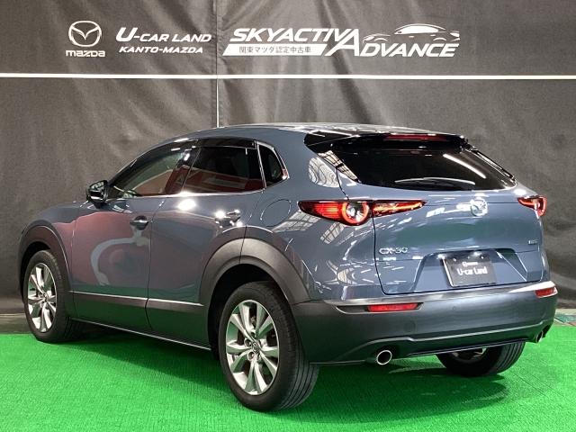 ＣＸ－３０ １．８　ＸＤ　プロアクティブ　マツダコネクトナビ　地デジ　３６０°ビューモニター　ＥＴＣ　ワンオーナー　キーフリ　衝突被害軽減　フルセグ　パワーバックドア　アイドリングストップ　レーダークルコン　ターボ　ＬＥＤライト　ＥＴＣ（37枚目）