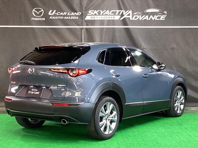 ＣＸ－３０ １．８　ＸＤ　プロアクティブ　マツダコネクトナビ　地デジ　３６０°ビューモニター　ＥＴＣ　ワンオーナー　キーフリ　衝突被害軽減　フルセグ　パワーバックドア　アイドリングストップ　レーダークルコン　ターボ　ＬＥＤライト　ＥＴＣ（38枚目）