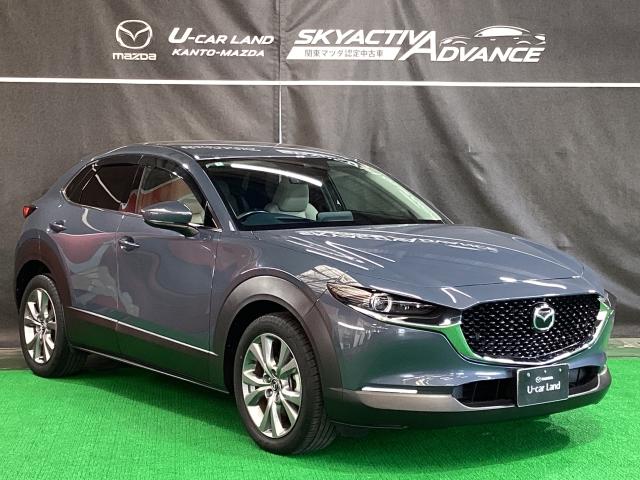 ＣＸ－３０ １．８　ＸＤ　プロアクティブ　マツダコネクトナビ　地デジ　３６０°ビューモニター　ＥＴＣ　ワンオーナー　キーフリ　衝突被害軽減　フルセグ　パワーバックドア　アイドリングストップ　レーダークルコン　ターボ　ＬＥＤライト　ＥＴＣ（40枚目）