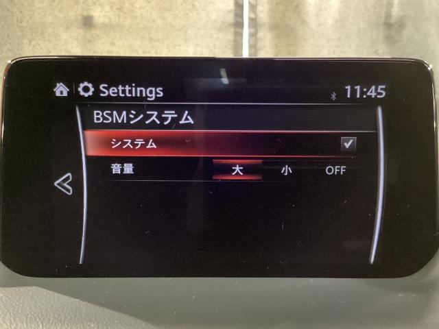 ＣＸ－８ ２５Ｓ　プロアクティブ　マツダコネクトナビ　地デジ　３６０°モニター　ＥＴＣ　ワンオーナー　パワーウィンドウ　ＬＫＡ　レーダークルーズコントロール　ＤＶＤ　点検記録簿　ＡＢＳ　パワーシート　シートヒーター　ＬＥＤライト（17枚目）