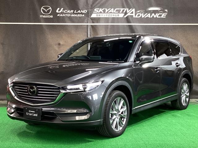 ＣＸ－８ ２５Ｓ　プロアクティブ　マツダコネクトナビ　地デジ　３６０°モニター　ＥＴＣ　ワンオーナー　パワーウィンドウ　ＬＫＡ　レーダークルーズコントロール　ＤＶＤ　点検記録簿　ＡＢＳ　パワーシート　シートヒーター　ＬＥＤライト（35枚目）