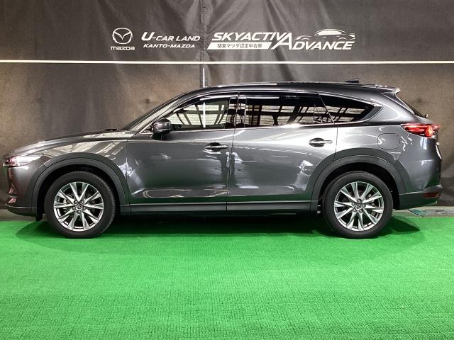 ＣＸ－８ ２５Ｓ　プロアクティブ　マツダコネクトナビ　地デジ　３６０°モニター　ＥＴＣ　ワンオーナー　パワーウィンドウ　ＬＫＡ　レーダークルーズコントロール　ＤＶＤ　点検記録簿　ＡＢＳ　パワーシート　シートヒーター　ＬＥＤライト（36枚目）