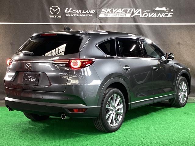 ＣＸ－８ ２５Ｓ　プロアクティブ　マツダコネクトナビ　地デジ　３６０°モニター　ＥＴＣ　ワンオーナー　パワーウィンドウ　ＬＫＡ　レーダークルーズコントロール　ＤＶＤ　点検記録簿　ＡＢＳ　パワーシート　シートヒーター　ＬＥＤライト（38枚目）