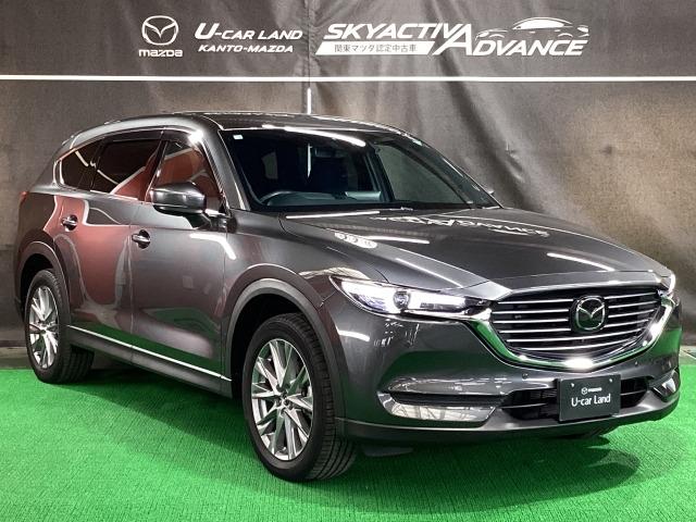 ＣＸ－８ ２５Ｓ　プロアクティブ　マツダコネクトナビ　地デジ　３６０°モニター　ＥＴＣ　ワンオーナー　パワーウィンドウ　ＬＫＡ　レーダークルーズコントロール　ＤＶＤ　点検記録簿　ＡＢＳ　パワーシート　シートヒーター　ＬＥＤライト（40枚目）