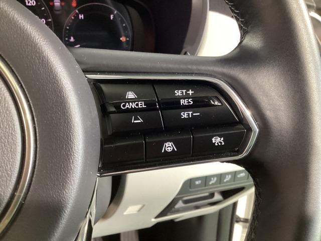 ＣＸ－６０ ３．３　ＸＤ　エクスクルーシブ　モード　マツダコネクトナビ　地デジ　３６０°ビューモニター　サンルーフ　ＥＴＣ　ワンオーナー　衝突軽減　ＬＥＤ　フルセグＴＶ　パワーシート　ＵＳＢ　ＥＴＣ　ワンオーナ　スマートキー　クリアランスソナー　ターボ（24枚目）