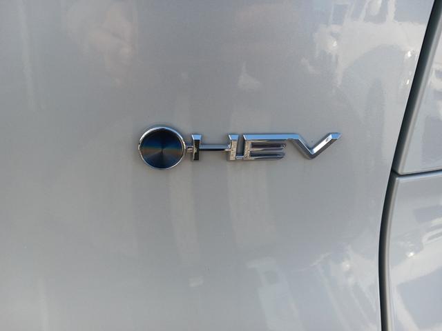 シエンタ ハイブリッドＺ　福祉車両　スローパー　電動固定　電動ウインチ　後席付５人乗り　ナビ　ＴＶ　ＥＴＣ　ＢＴ　全方位カメラ　フォグ　アルミ　衝突軽減　トヨタチームメイト（30枚目）